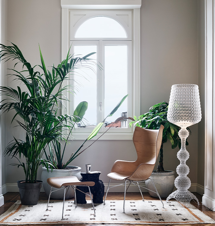 Smart Wood Collection