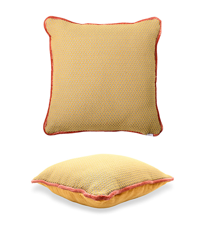 2867 | TALIA CUSHION