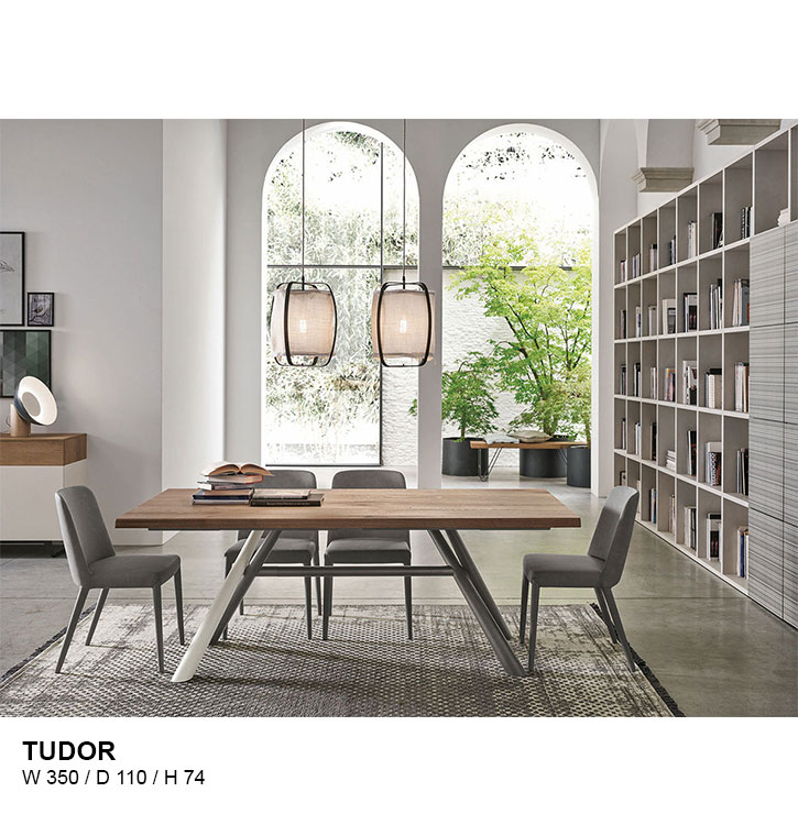TUDOR