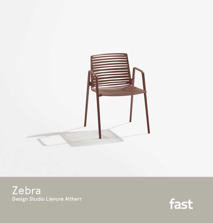 Fast Zebra immagine prodotto