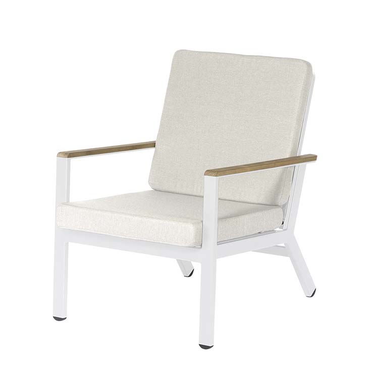 Aura Lounge Chair with a Arctic White Frame