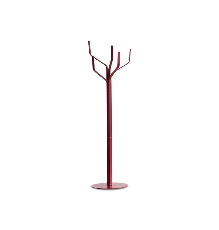 Lapalma - ALBERO