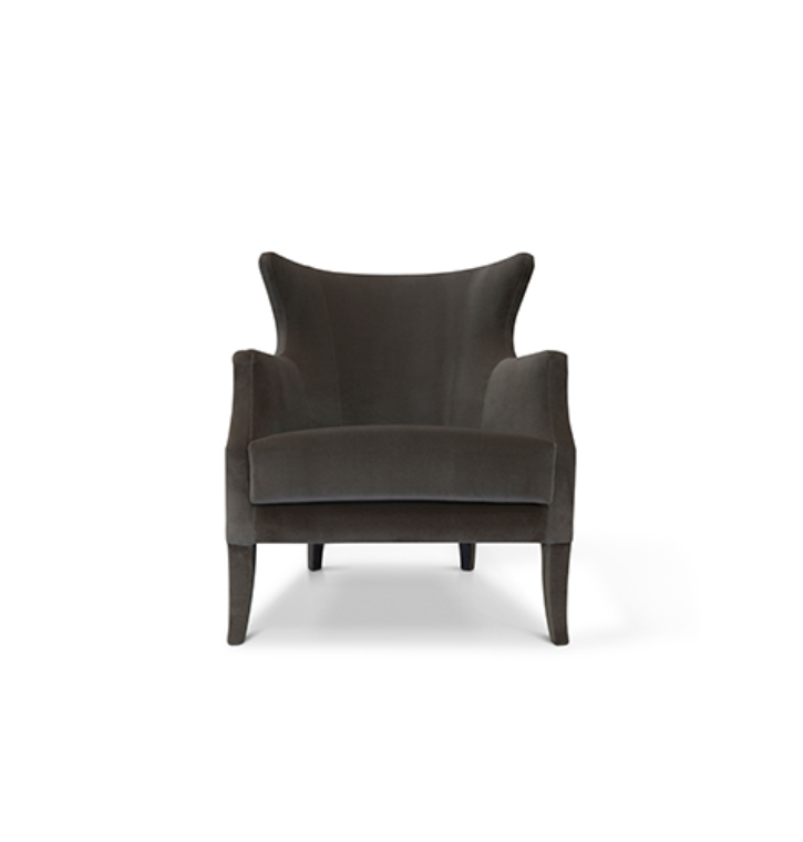 Grey Velvet Armchair Design by BRABBU