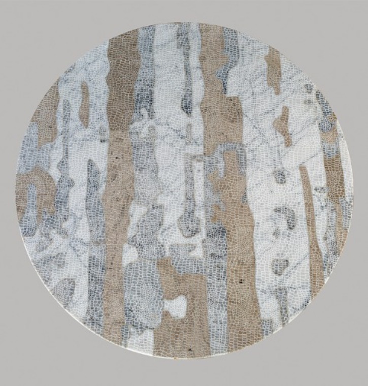 Spolium_Collection.jpg