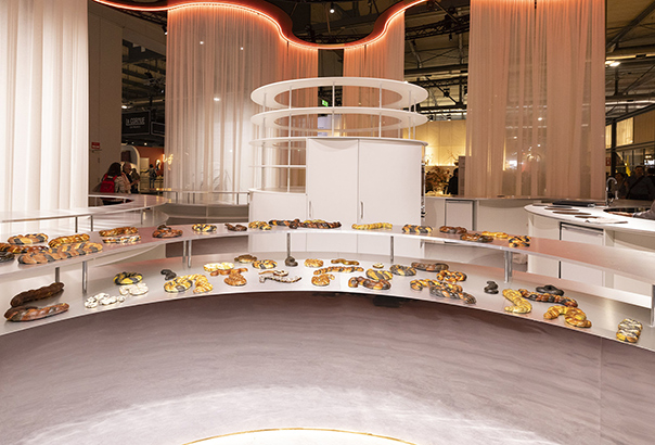 Arena Food Design Project