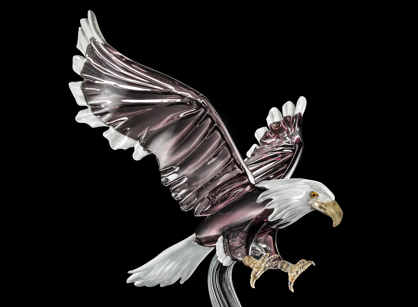 Aquila