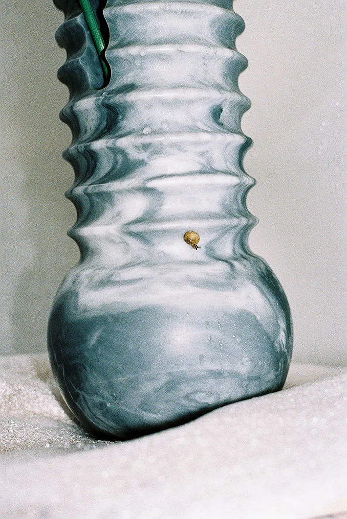 Valentina Cameranesi vase for SEM
