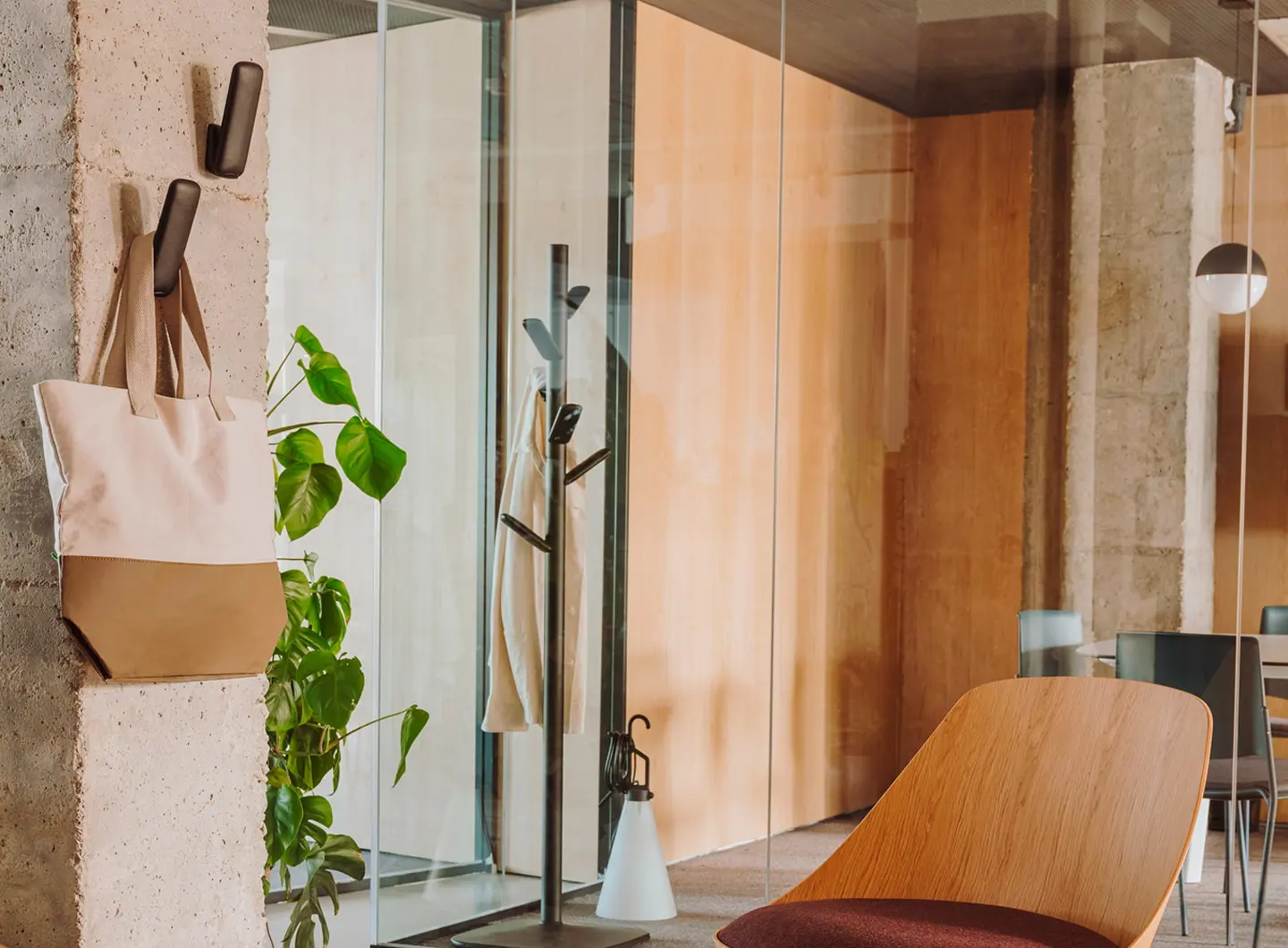 Enea - Caddy coat hook