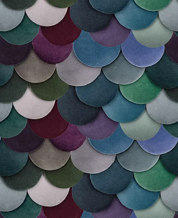Velluto di Cotone Collection