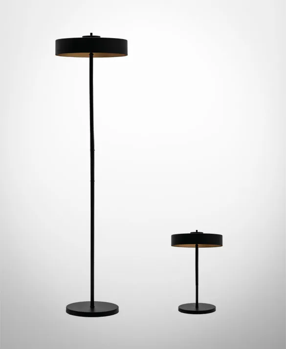 Floor and table lamp