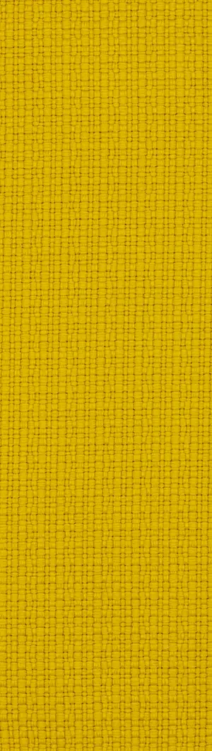 REVIVA | IRIS col. 501