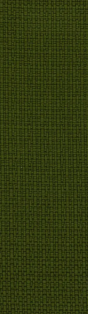 REVIVA | IRIS col. 801