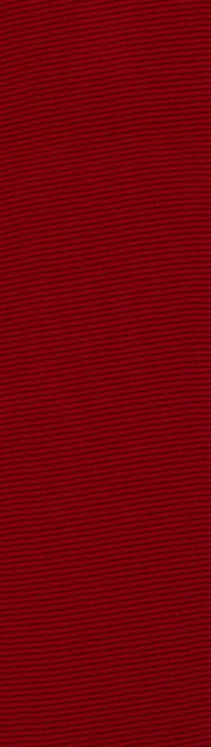 REVIVA | HERO col. 305