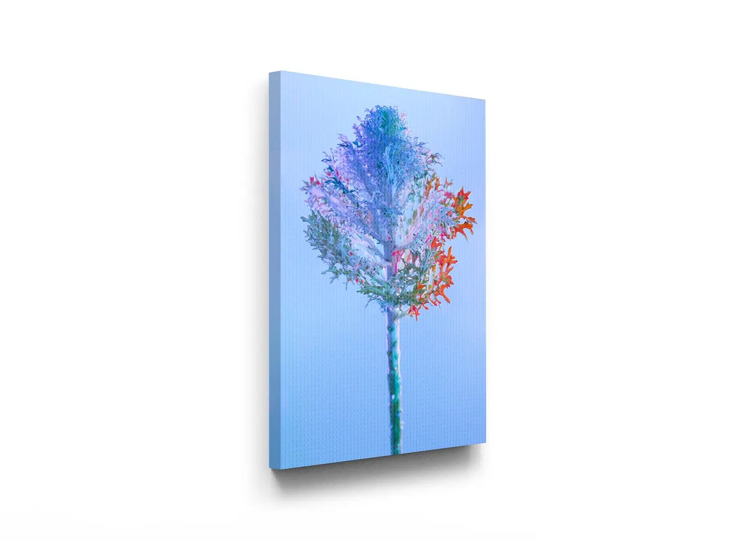 MOMENTI - PAINTING