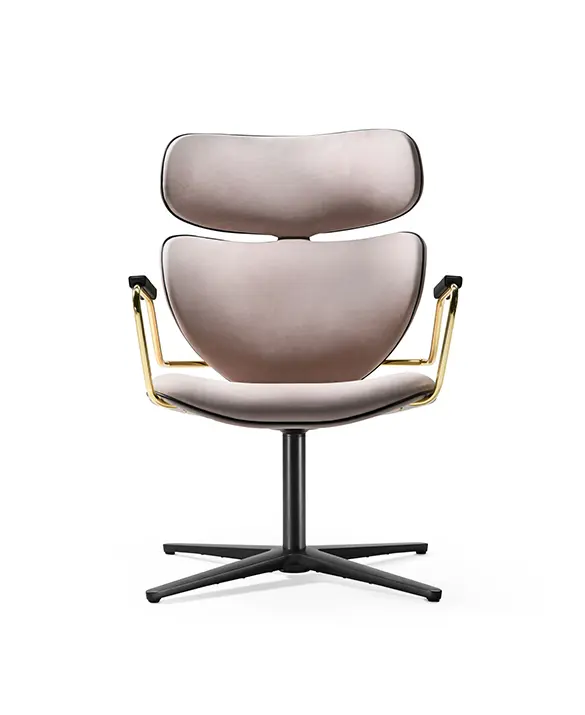 Asia swivel