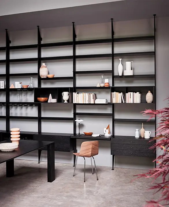 Cesar - libreria The 50's