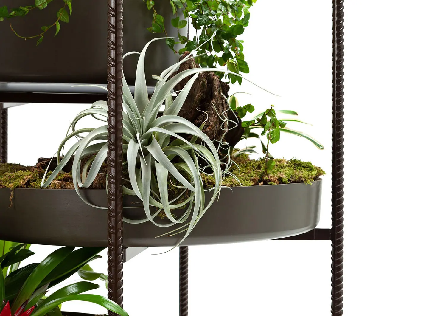 Exteta - Vertical Garden