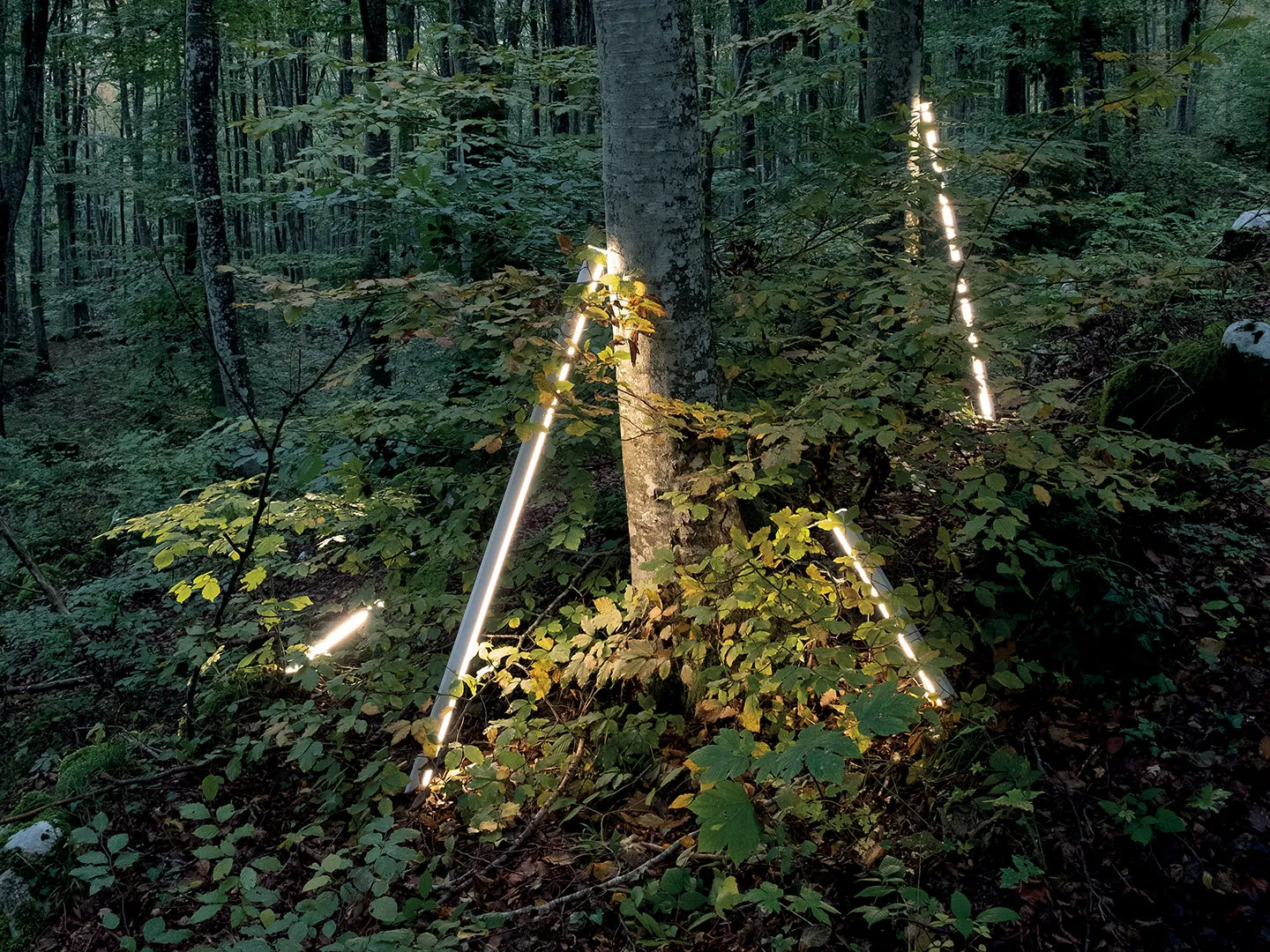 Zafferano _ Pencil horizontal suspension lamp, Cansiglio forest