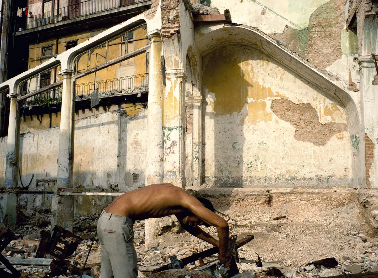 Alex Webb