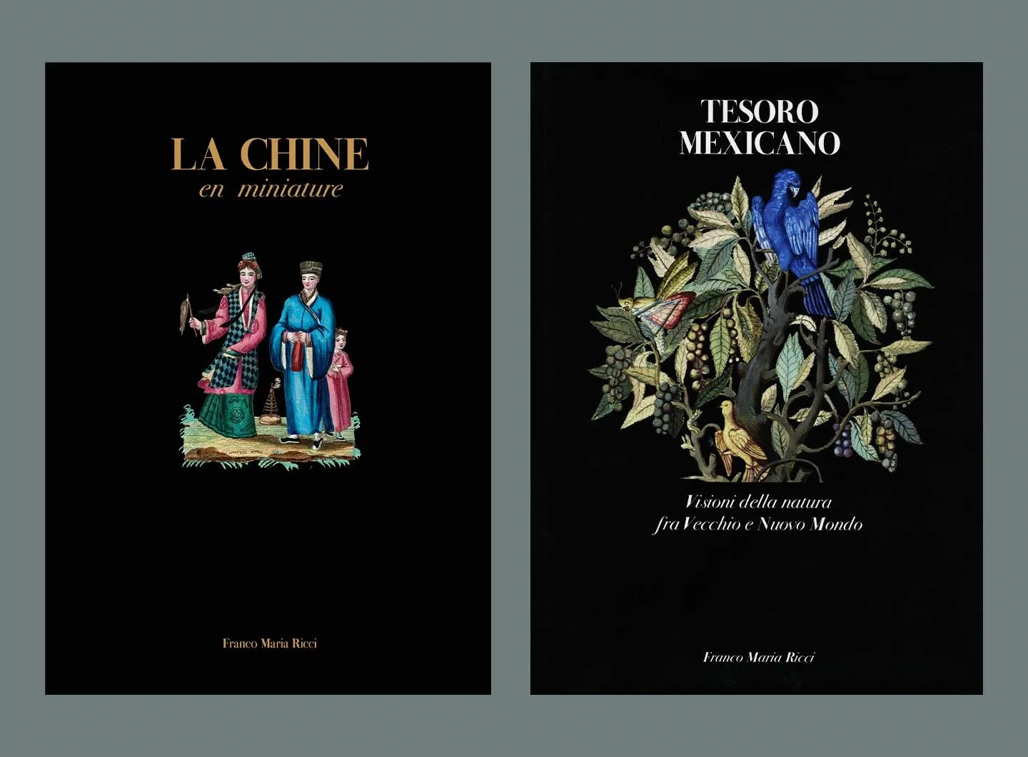 Book covers for La Chine en Miniature and Tesoro Mexicano