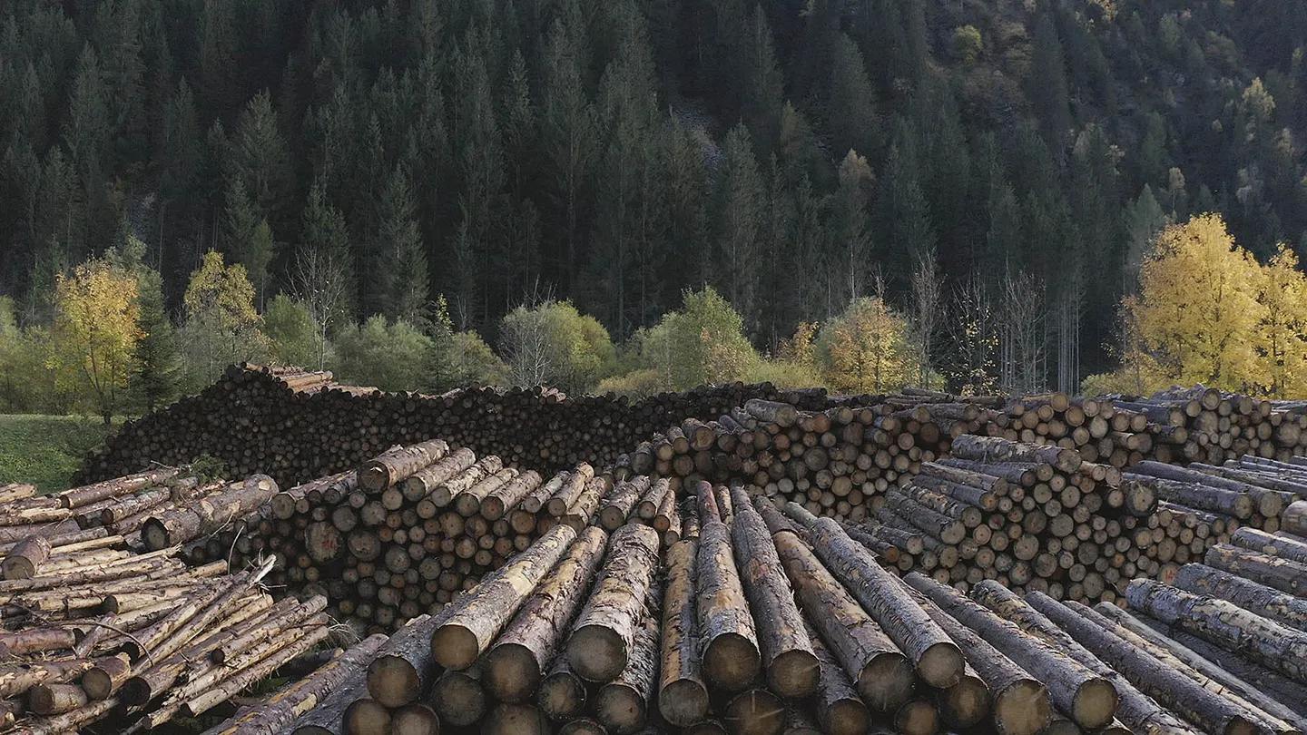 CAMBIO, lavorazione del legno in Val di Fiemme