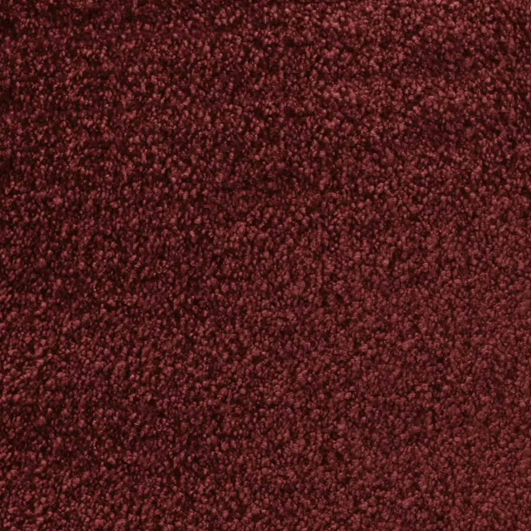 Ninphea col.1