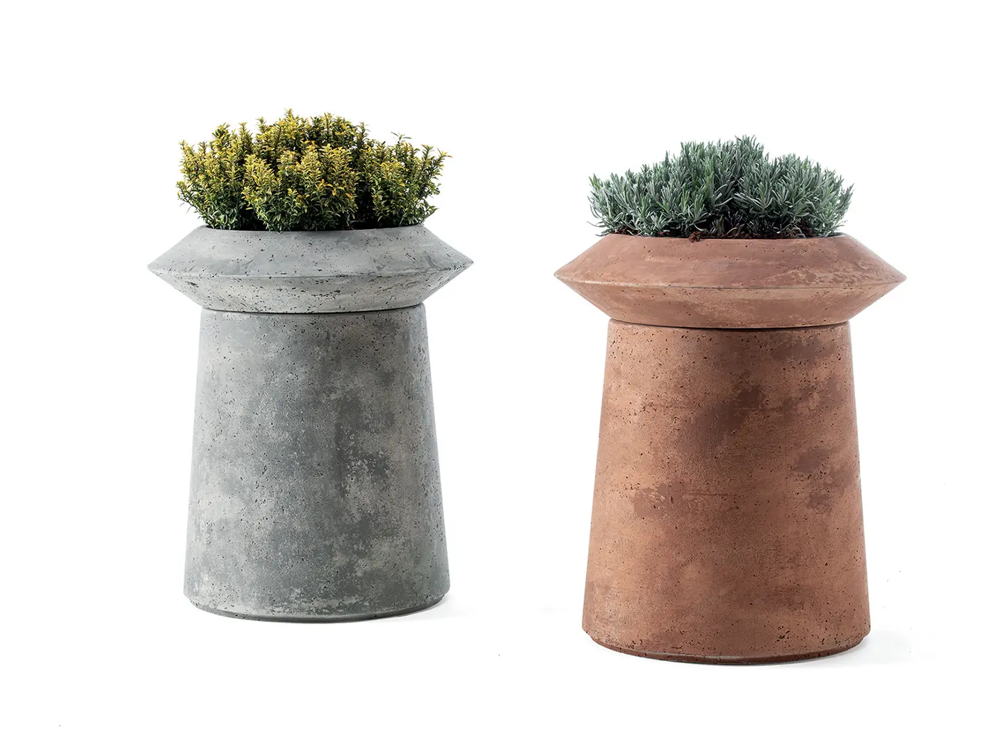 Ethimo - Compo Crocus, Bulbi collection