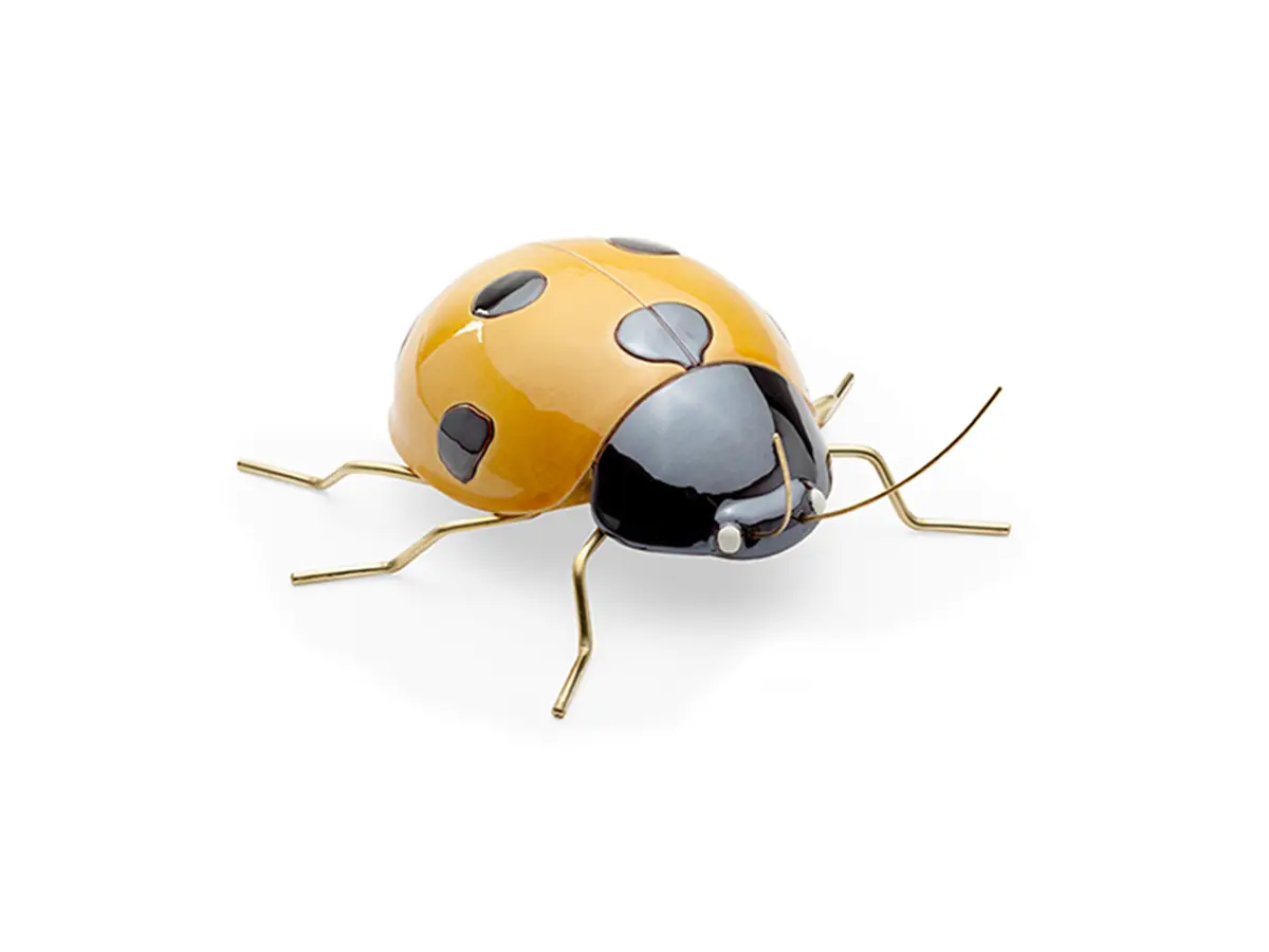 LADYBUG - Mambo Unlimited Ideas