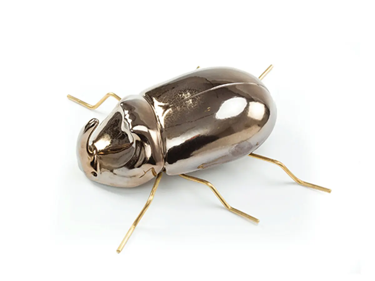 RHINOCEROS BEETLE - Mambo Unlimited Ideas