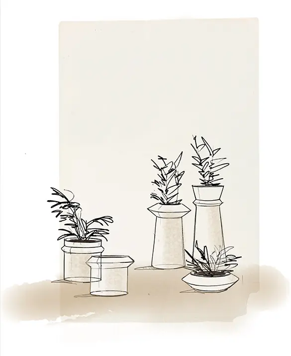 Ethimo - Allium, Bulbi collection - Studiopepe