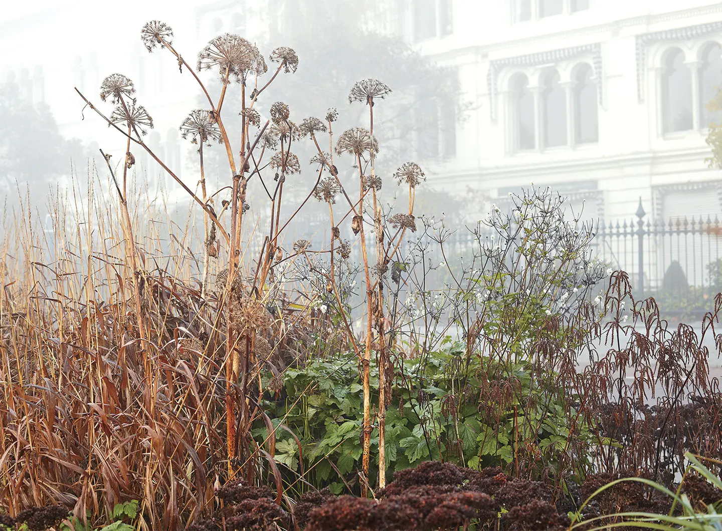 7_GAL_Piet Oudolf_Planting_salone mobile