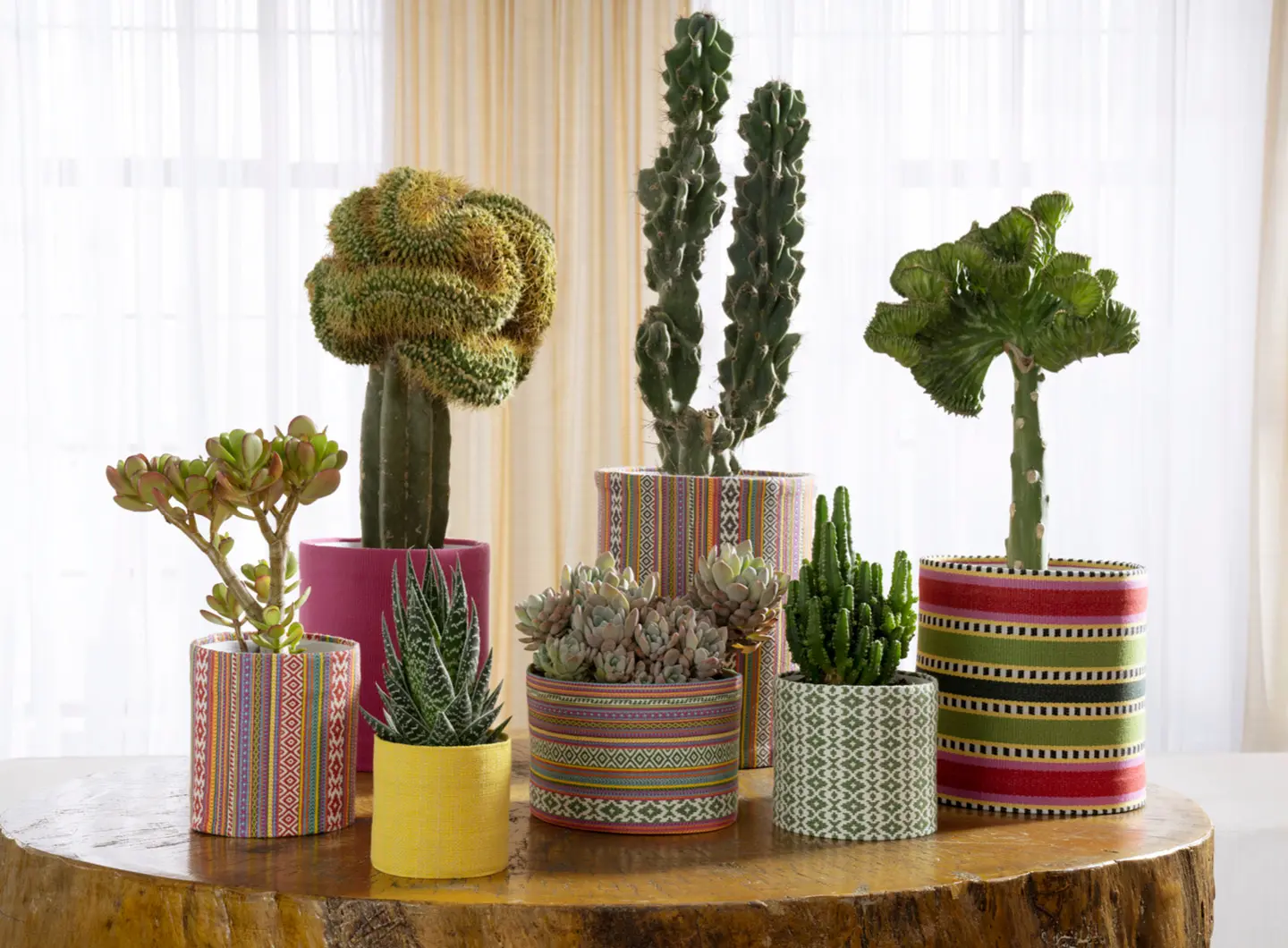 Ethno Collection by Backhausen