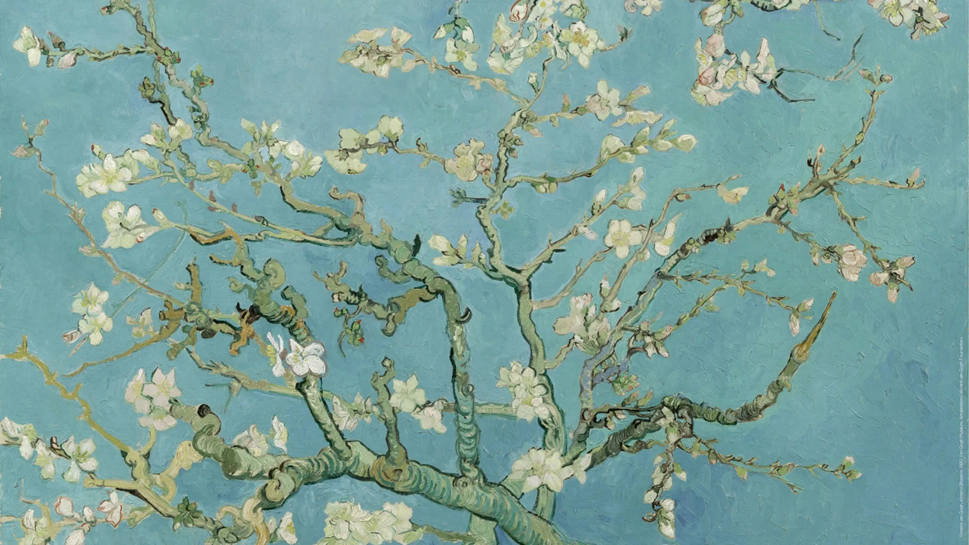 Vincent van Gogh, Almond Blossom, February 1890, oil on canvas 73.3 x 92.4 cm - Van Gogh Museum, Amsterdam (Vincent van Gogh Foundation) - © Van Gogh Museum®