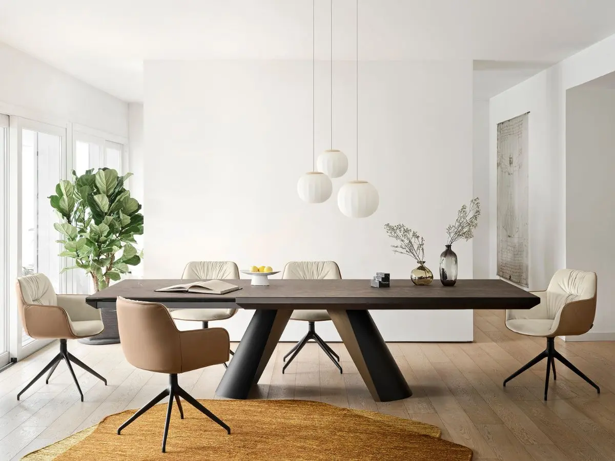 Apian - Calligaris
