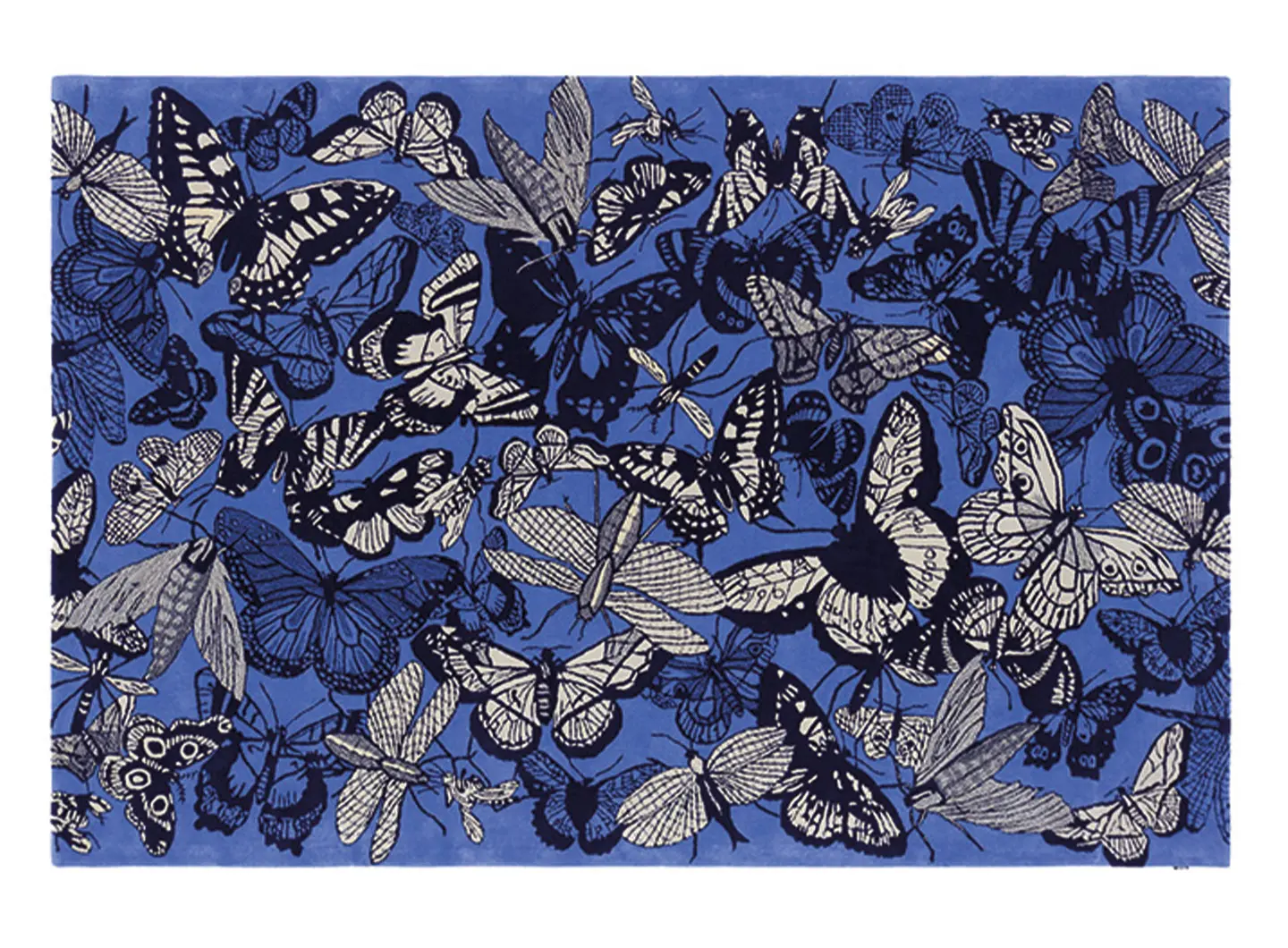 Fauna Mix Do Ar