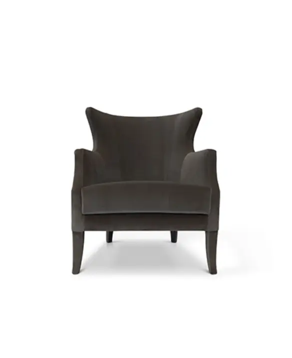 Grey Velvet Armchair Design by BRABBU