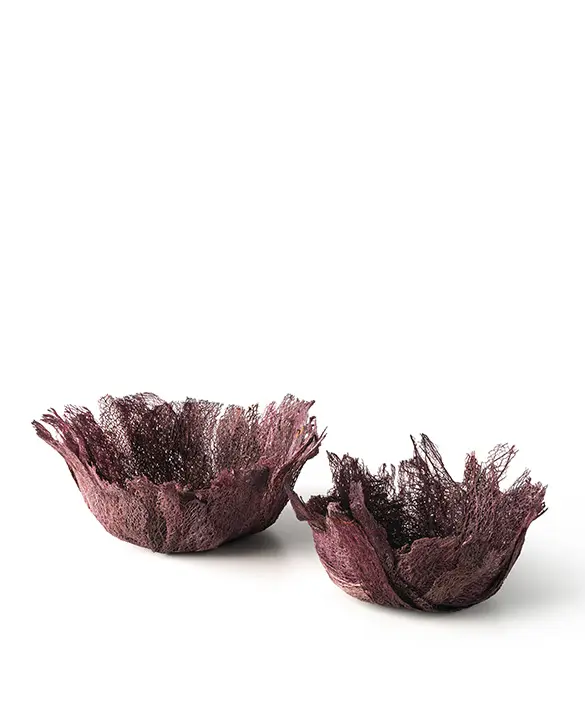 JCP Universe - Hariona vases