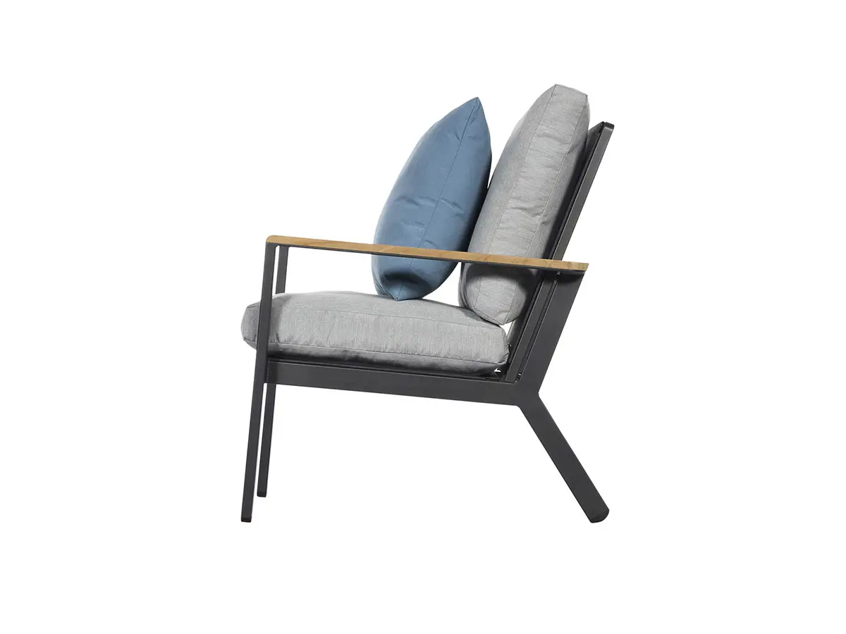 Aura Lounge Chair with a Graphite Frame