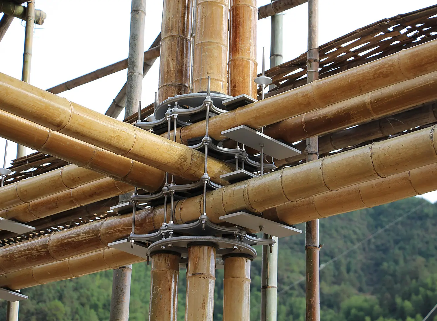 bamboo house, mauricio cardenas laverde