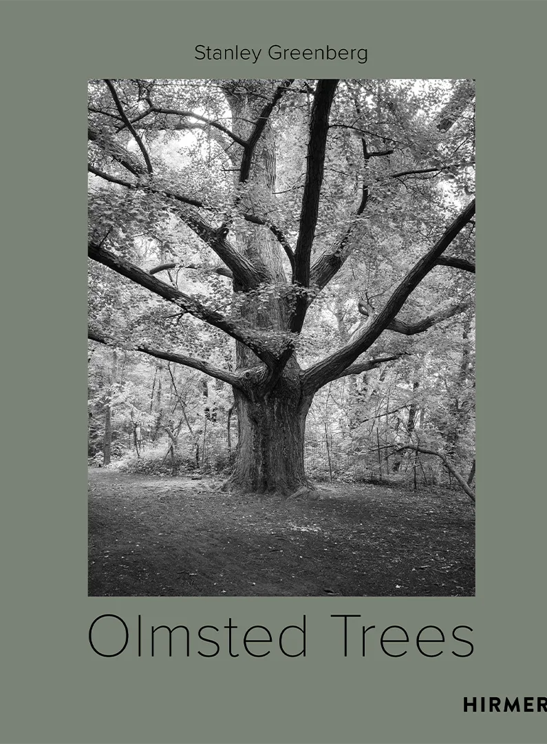 olmsted tree, book club, salone milano