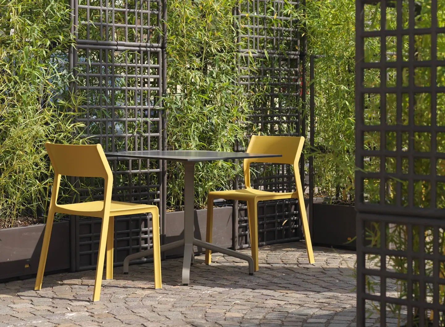 Trill Bistrot - Sipario - Base Frasca Mini Fix