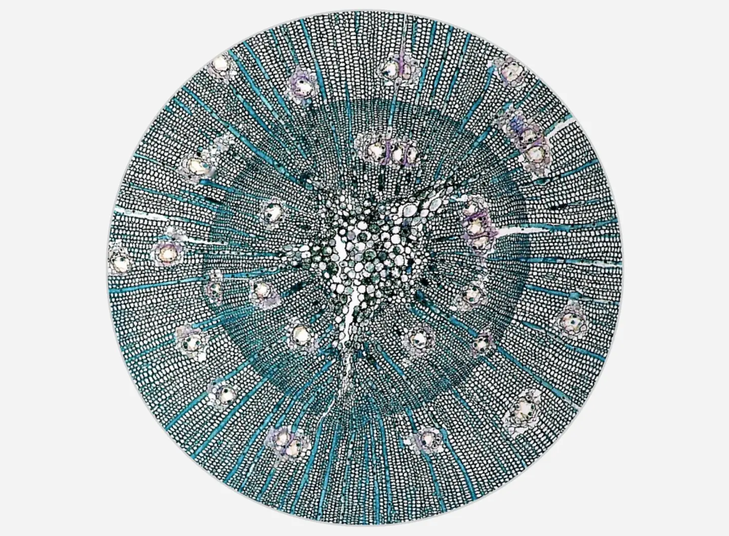 PN3.01.2