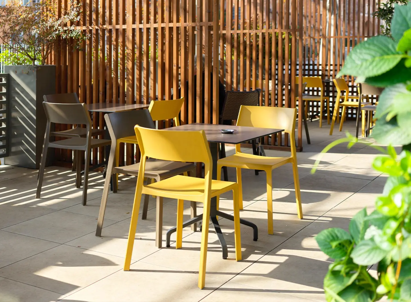 Trill Bistrot - Base Frasca Mini Fix