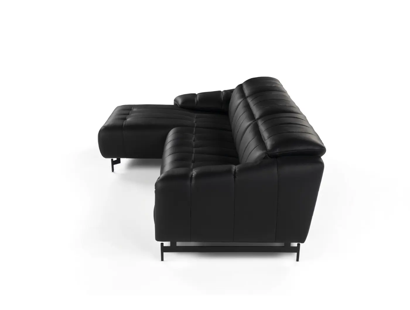 Condor_11.jpg