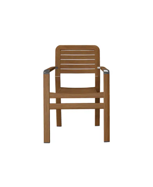 Chair with Armrests 301