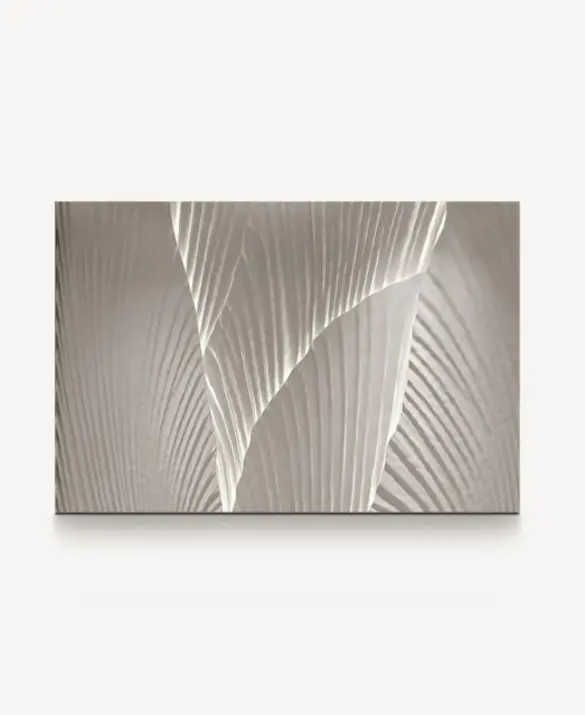 Alchymia River White Wall Decor