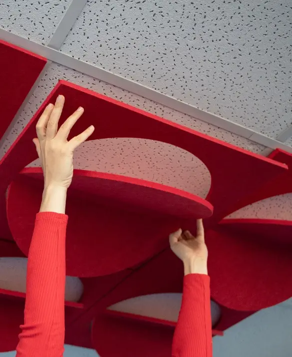 Acoustic Ceilings