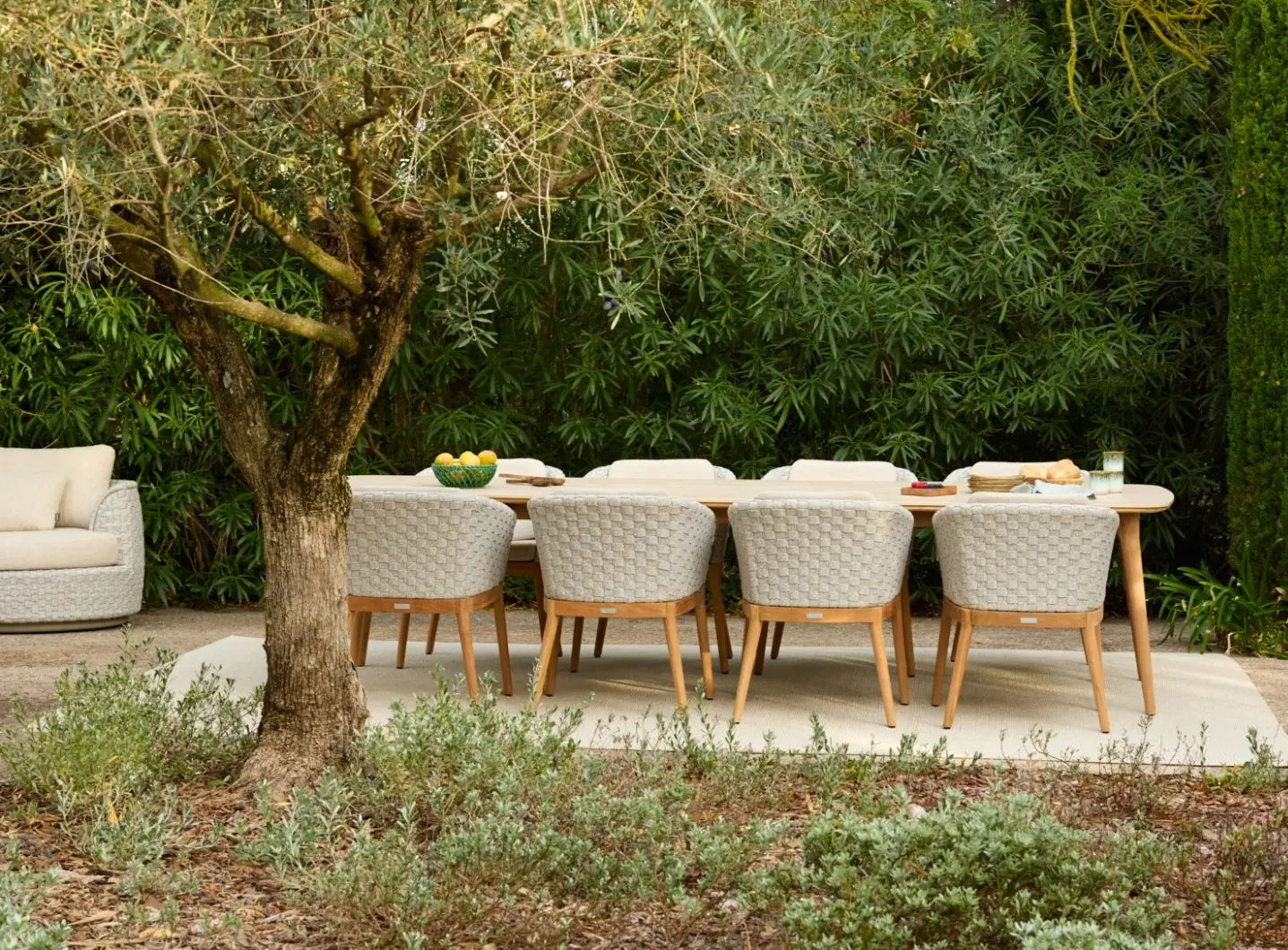 Jardinico - Tondo collection