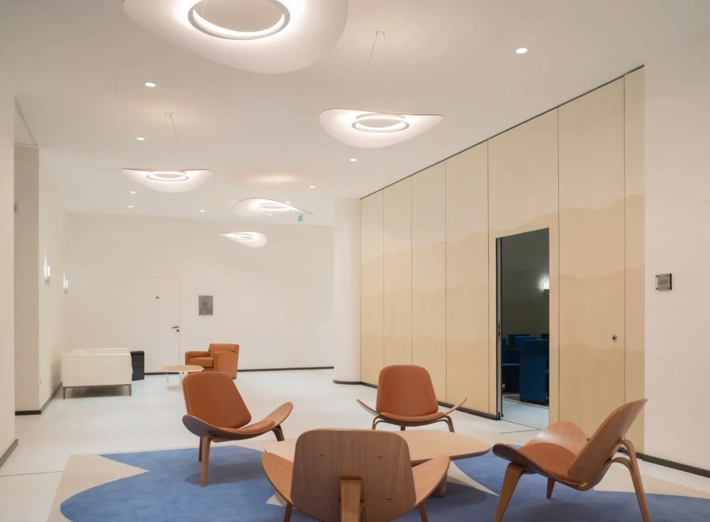 HENRI BURSZTYN _XFLR6 pendant light