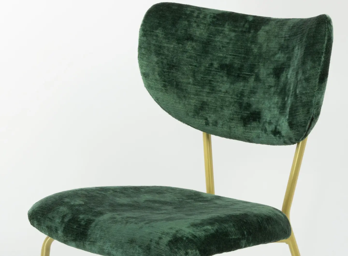 Fronte_sinistro_verde_oro.jpg